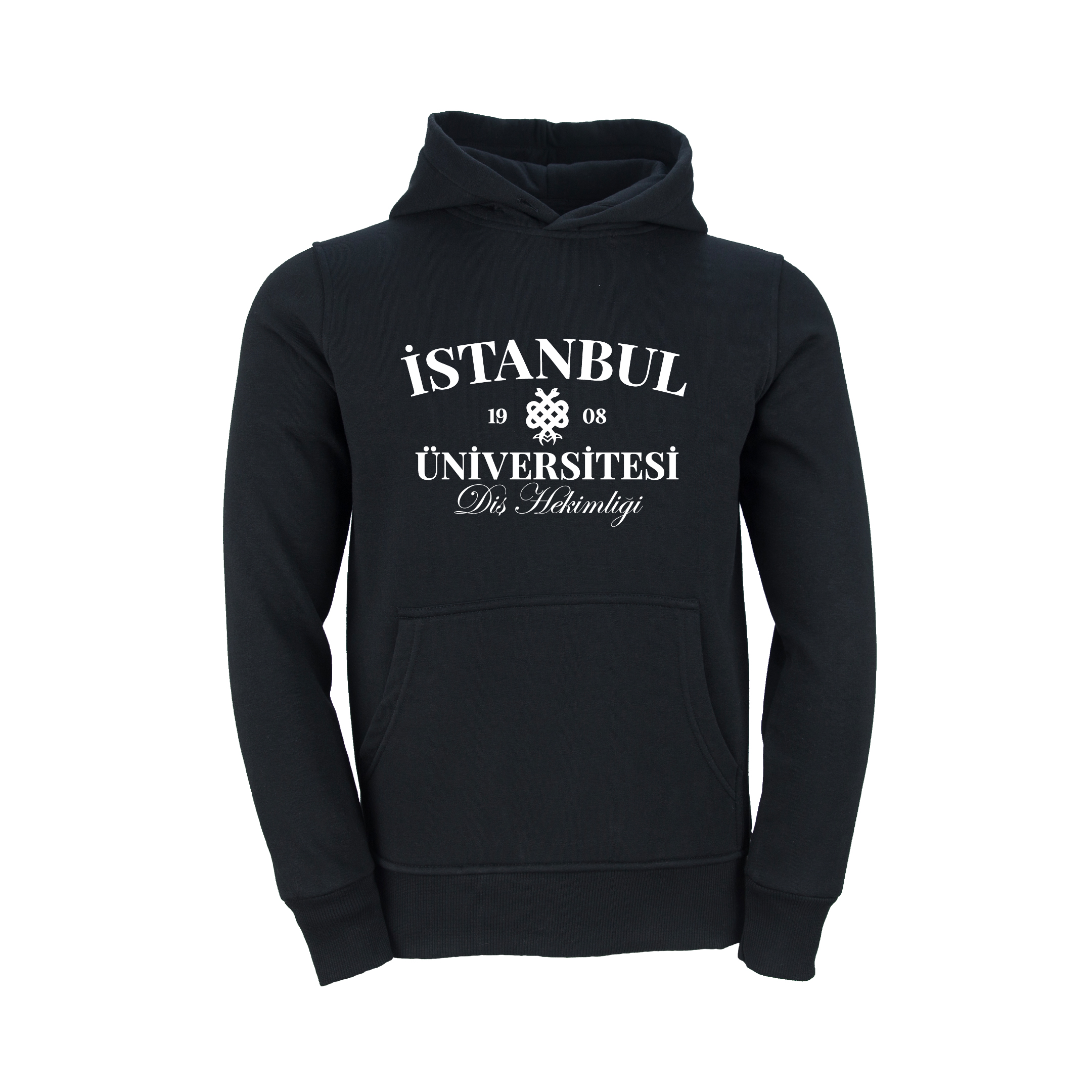 Istanbul Üniversitesi Dis Hekimligi Model 1